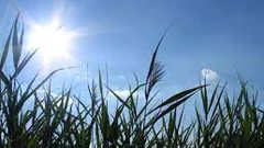 الطقس: ارتفاع طفيف على درجات الحرارة