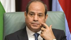 الرئيس المصري يشدد على ضرورة التوصل لحلول حاسمة لوقف إطلاق النار في غزة سريعا