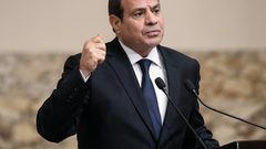 الرئيس المصري يشدد على ضرورة التوصل لحلول حاسمة لوقف إطلاق النار في غزة سريعا