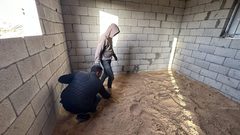 فلسطينيون يشيدون منازل من الحجارة للفكاك من جحيم الخيام