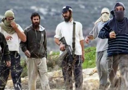 مستعمرون ينفذون أعمال عربدة على حاجز صرة