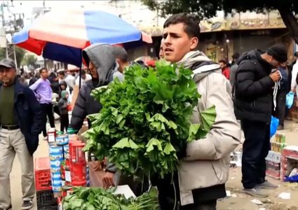 الخبّيزة والنباتات البريّة ملاذ البعض للنجاة من الموت جوعا في قطاع غزة