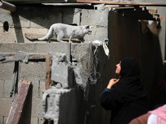 فلسطينيون يحاولون تفقد ما تبقى من منازلهم التي دمرتها غارات الاحتلال الإسرائيلي على دير البلح وسط قطاع غزة.
