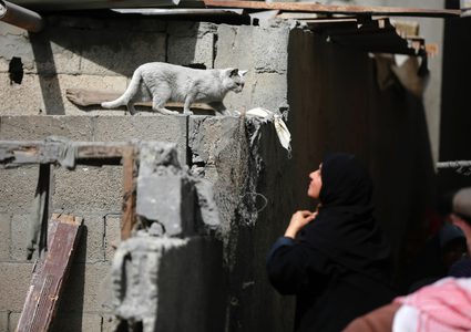 فلسطينيون يتفقدون بقايا منازلهم في دير البلح التي دمرها الاحتلال