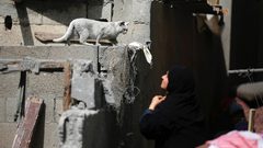 فلسطينيون يتفقدون بقايا منازلهم في دير البلح التي دمرها الاحتلال