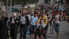 مسؤول اسرائيلي: سيتم نقل مليون فلسطيني قبل عملية رفح