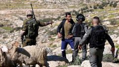 مستوطنون يعتدون على الرعاة في خربة الفارسية بالأغوار الشمالية