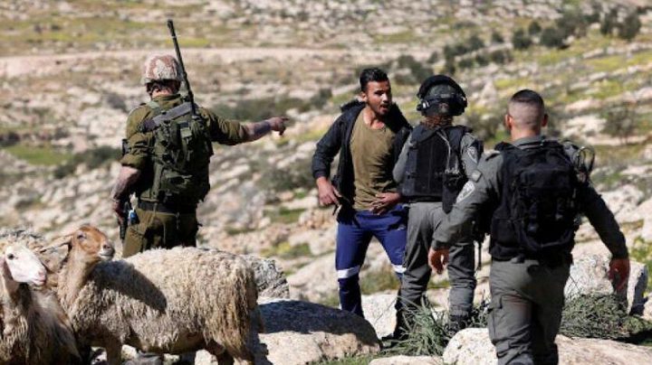 مستوطنون يعتدون على الرعاة في خربة الفارسية بالأغوار الشمالية