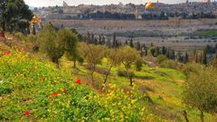 الطقس: أجواء ربيعية معتدلة