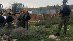 الاحتلال يجرف 15 دونما ويقتلع 150 شجرة زيتون في حوسان غرب بيت لحم