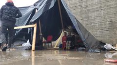 غرق مئات خيام النازحين نتيجة الأمطار والرياح الشديدة في غزة