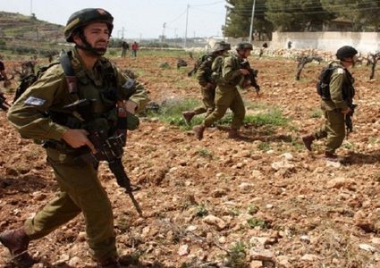 الاحتلال يعتقل شابا أثناء رعيه ماشيته في الأغوار