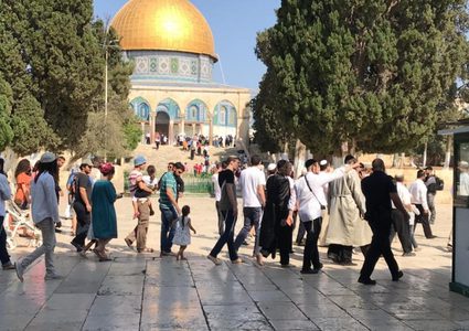 54 مستوطنًا يقتحمون المسجد الأقصى
