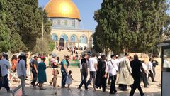 54 مستوطنًا يقتحمون المسجد الأقصى