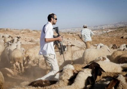 مستوطنون يمنعون مواطنين من رعي أغنامهم شمال غرب أريحا