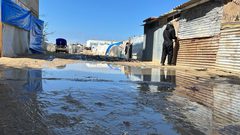 تعددت أسباب الموت: النازحون في غزة يواجهون تهديدات الأمراض والتلوث