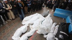 قطاع غزة: خلال 24 ساعة- مجازر جديدة خلّفت 107 شهداء