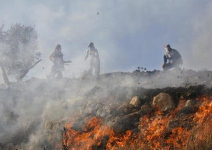 مستعمرون يشعلون النار في بسطات للخضار في الأغوار