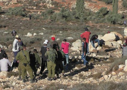 الخليل: الاحتلال يعتقل مواطنة وابنتها خلال رعيهما الأغنام في مسافر يطا