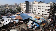 الاحتلال يواصل اقتحام مجمع الشفاء بغزة لليوم الـ14 على التوالي