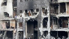 مدير مجمع الشفاء: الدمار في المجمع يجعل من غير الممكن العمل فيه مجددا