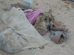 قبور "الشفاء" المنبوشة تحكي مأساة 15 يوماً من الحصار والدمار