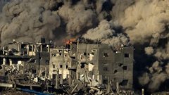 180 يوما للحرب على فلسطين