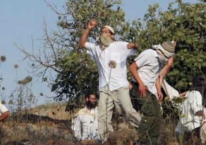 مستوطنون يهاجمون المواطنين ومنازلهم في المغير شمال شرق رام الله