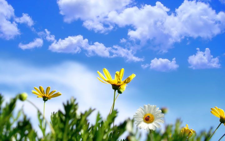 حالة الطقس: أجواء صافية حتى الاثنين المقبل