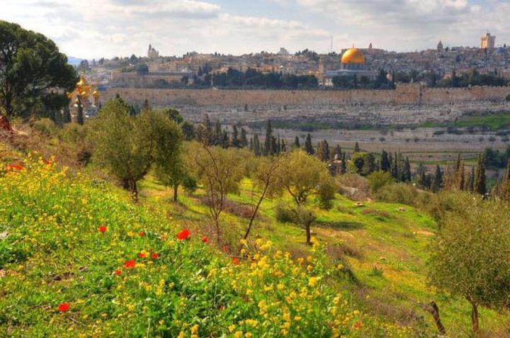 حالة الطقس: أجواء صافية والحرارة حول معدلها العام