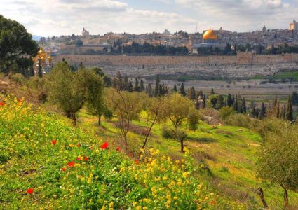 حالة الطقس: أجواء صافية والحرارة حول معدلها العام