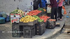 الخضروات تملأ الأسواق في شمال القطاع مع ضعف شديد في الحالة الشرائية لقلة الدخل وشح السيولة النقدية :

 تصوير : أيمن العمريطي - الثلاثاء / ١٦ / ٤ / ٢٠٢٤ م