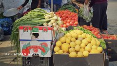 الخضروات تملأ الأسواق في شمال القطاع مع ضعف شديد في الحالة الشرائية لقلة الدخل وشح السيولة النقدية :

 تصوير : أيمن العمريطي - الثلاثاء / ١٦ / ٤ / ٢٠٢٤ م