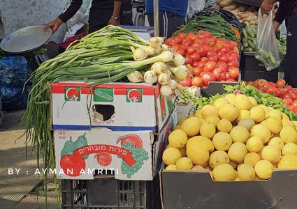الخضروات تملأ الأسواق في شمال القطاع مع ضعف شديد في الحالة الشرائية لقلة الدخل وشح السيولة النقدية :

 تصوير : أيمن العمريطي - الثلاثاء / ١٦ / ٤ / ٢٠٢٤ م