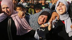 ضربة إسرائيلية واحدة تقضي على 5 آلاف من أجنة أطفال الأنابيب في غزة