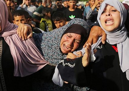 ضربة إسرائيلية واحدة تقضي على 5 آلاف من أجنة أطفال الأنابيب في غزة