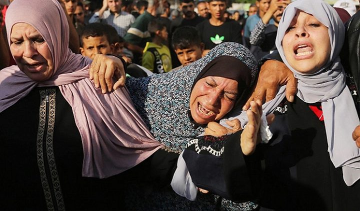 ضربة إسرائيلية واحدة تقضي على 5 آلاف من أجنة أطفال الأنابيب في غزة