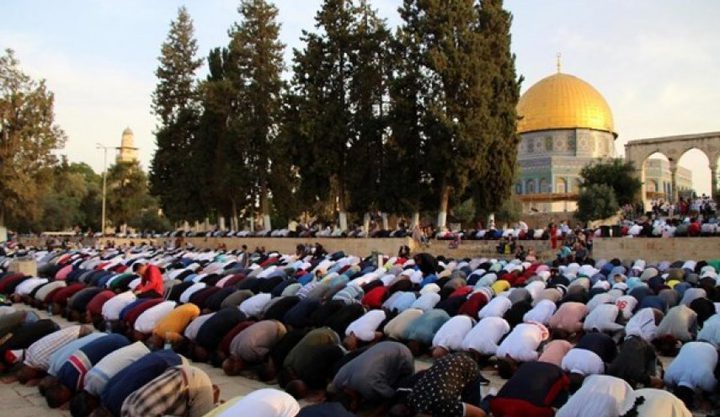 50 ألف مواطن يؤدون صلاة الجمعة في المسجد الأقصى