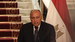 مصر تدعو لوقف دوامة العنف في غزة وتحذر من اتساع دائرة الصراع في المنطقة