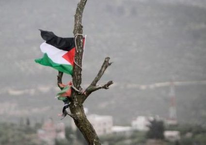 إصابة مستوطن أثناء محاولته إنزال علم فلسطين شرق رام الله