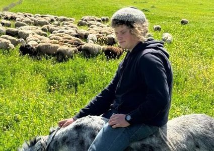 الاحتلال يعتقل شابا من دوما بدعوى قتل المستوطن بنيامين