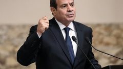 السيسي:الأولوية وقف نزيف الدم الفلسطيني من خلال العمل على وقف إطلاق النار في غزة