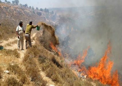 مستعمرون يضرمون النار في اراض زراعية في المغير