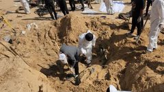 اليوم 208 من الحرب: خمسة مجازر و47 شهيد و61 إصابة خلال 24 ساعة