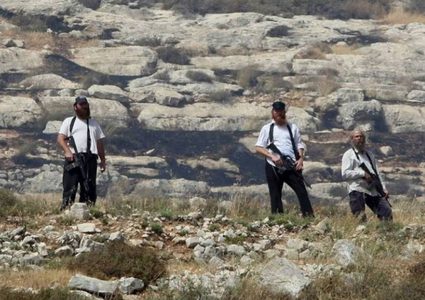 مستوطنون يعتدون على المواطنين وممتلكاتهم في الأغوار