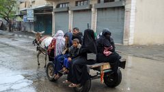 بدلاً من العودة إلى شمال غزة.. نزوح جديد للفلسطينيين في رفح