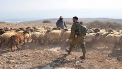 الاحتلال يهاجم رعاة الأغنام شرق بيت لحم
