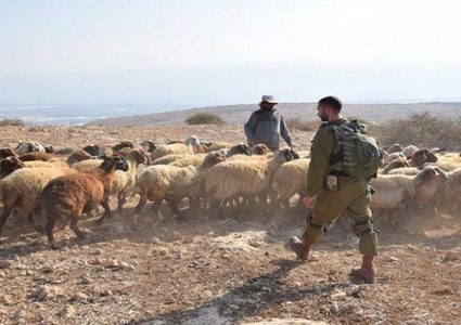 الاحتلال يهاجم رعاة الأغنام شرق بيت لحم