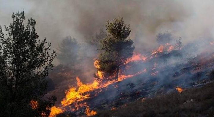 حرائق هائلة تلتهم عشرات الدونمات في طوباس