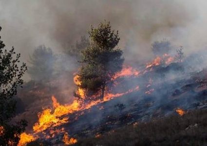 حرائق هائلة تلتهم عشرات الدونمات في طوباس